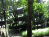 untitled-1-copy.jpg