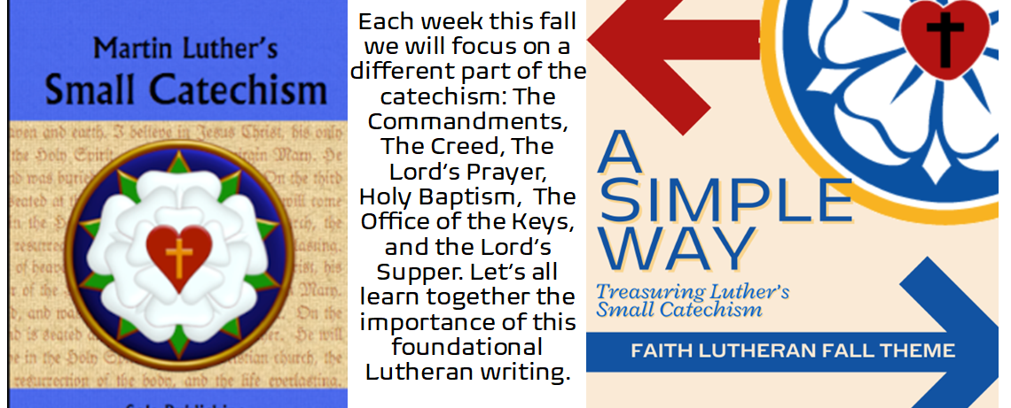 Click Here for Weekly Discussion Questions and More Information on the Fall Theme